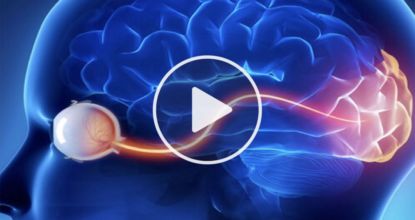 Barely-discovered Trick Clears Foggy Vision