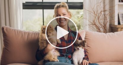Actress Katherine Heigl: "This Is What I Feed My Dog Every Day"